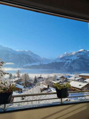 The Kitz-View 2